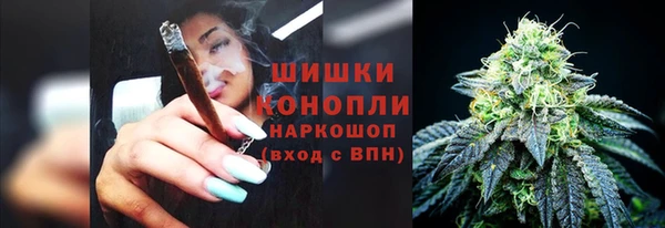 прущие грибы Балахна