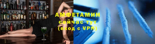 прущие грибы Балахна