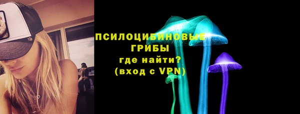 дурь Сосновый Бор